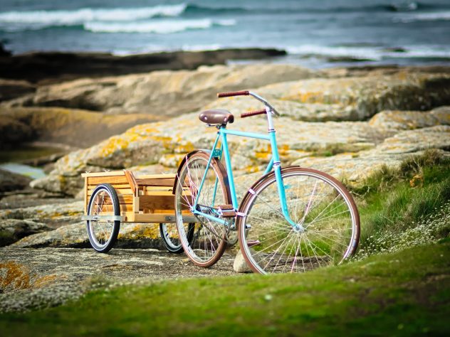 remorque vélo bois remorque vélo bois vélo hollandais