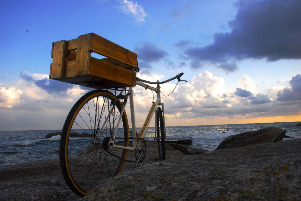 l' océan et the fisherman single speed vintage